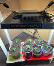 Load image into Gallery viewer, Mars Hydro TS 1000W Full Spectrum LED Grow Light
